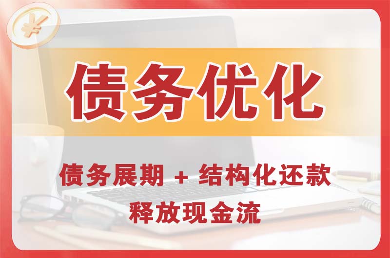 塔城债务优化
